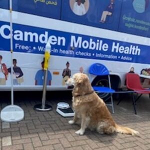 Dog sitting next to wellbeing bus